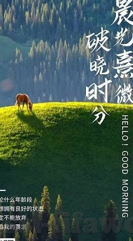 橙汁大厅炸金花坐什么位置-橙汁大厅炸金花，位置的艺术