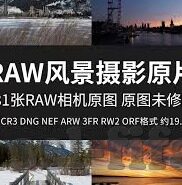 球探及时足球比分-揭秘球探及时足球比分，足球迷的情报中枢与观赛新体验