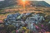 世界杯球队抵达-世界杯球队抵达，启程、期待与竞技的交响曲